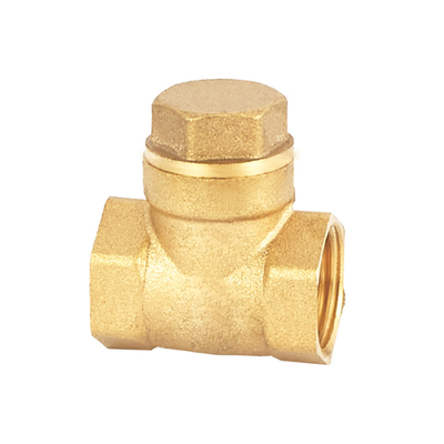 DN20-NPT Van kiểm tra bằng đồng thau 1 inch có ren cho nước có thể tùy chỉnh