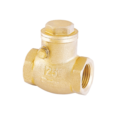 Van kiểm tra nước một chiều chống rỉ 32mm Van một chiều 22mm