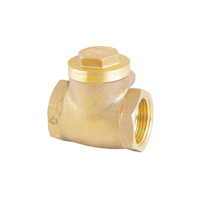 Van kiểm tra nước một chiều chống rỉ 32mm Van một chiều 22mm